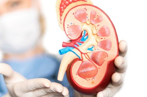 Critical Care Nephrolog